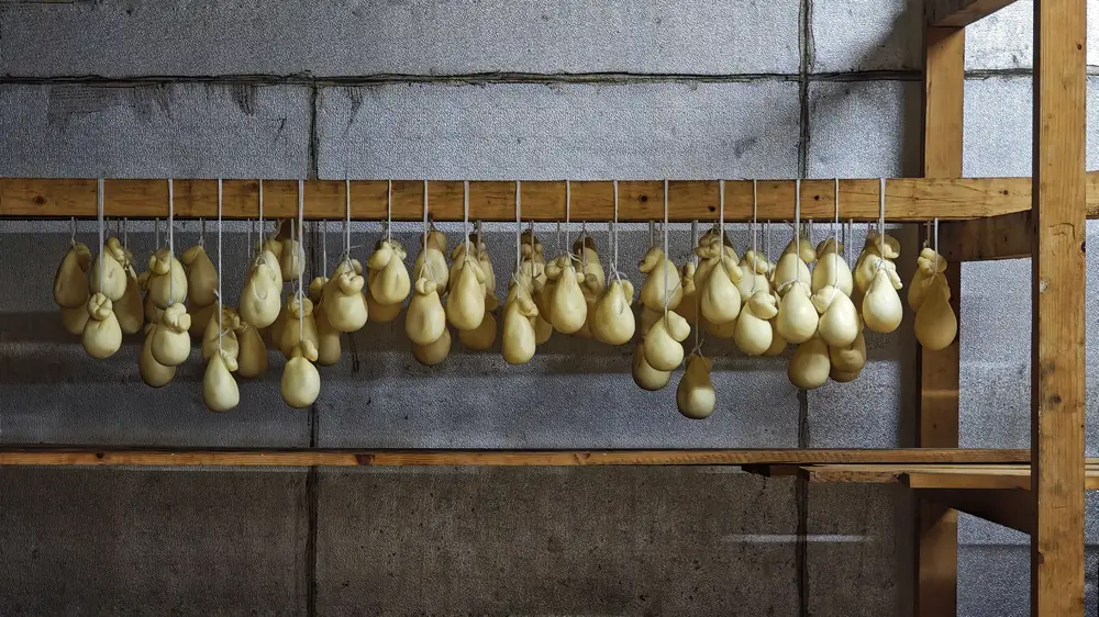 rows of pear-shaped cheeses hanging from a wooden rack